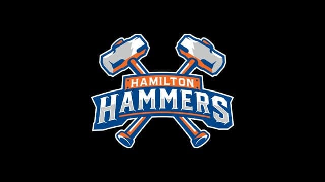Hamilton Hammers vs. Providence Bruins