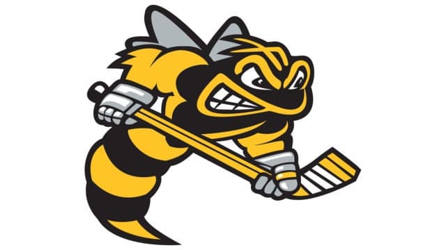 Sarnia Sting vs. Guelph Storm