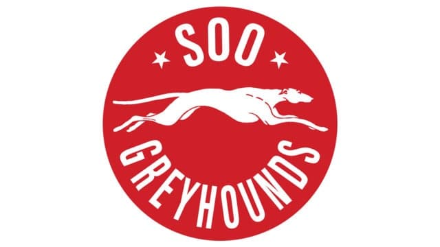 Sault Ste. Marie Greyhounds vs. Oshawa Generals