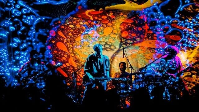 LSD & the Search for God