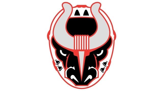 Birmingham Bulls v. Pee Dee Icecats